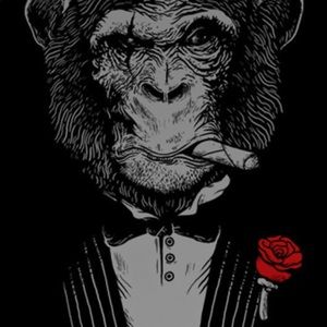 Meet your Posher, Paul